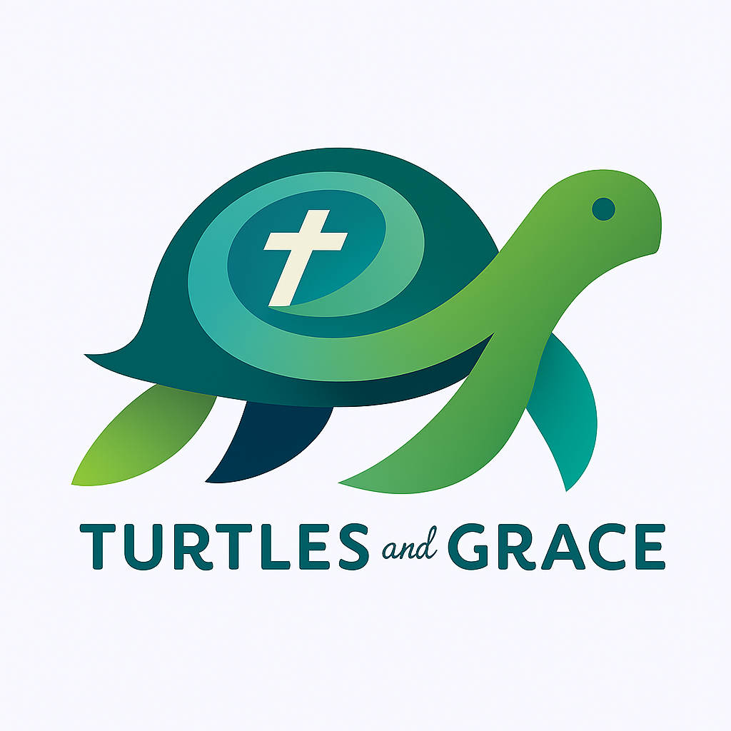 Turtles and Grace 0f62fe65